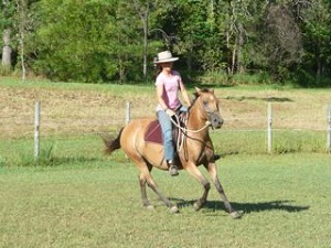 a katie on honey at kin kin small